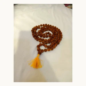 11mm Panchmukhi Rudraksha jap mala with 108 beads front view