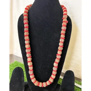 5 Mukhi Nepali Rudraksha mala with large natural beads front view