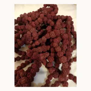 Original large Morangi Rudraksha mala big bead necklace front view