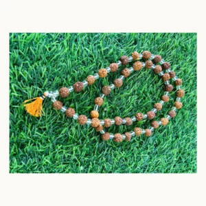 Panchmukhi Rudraksha Sphatik Shiv Shakti mala front view